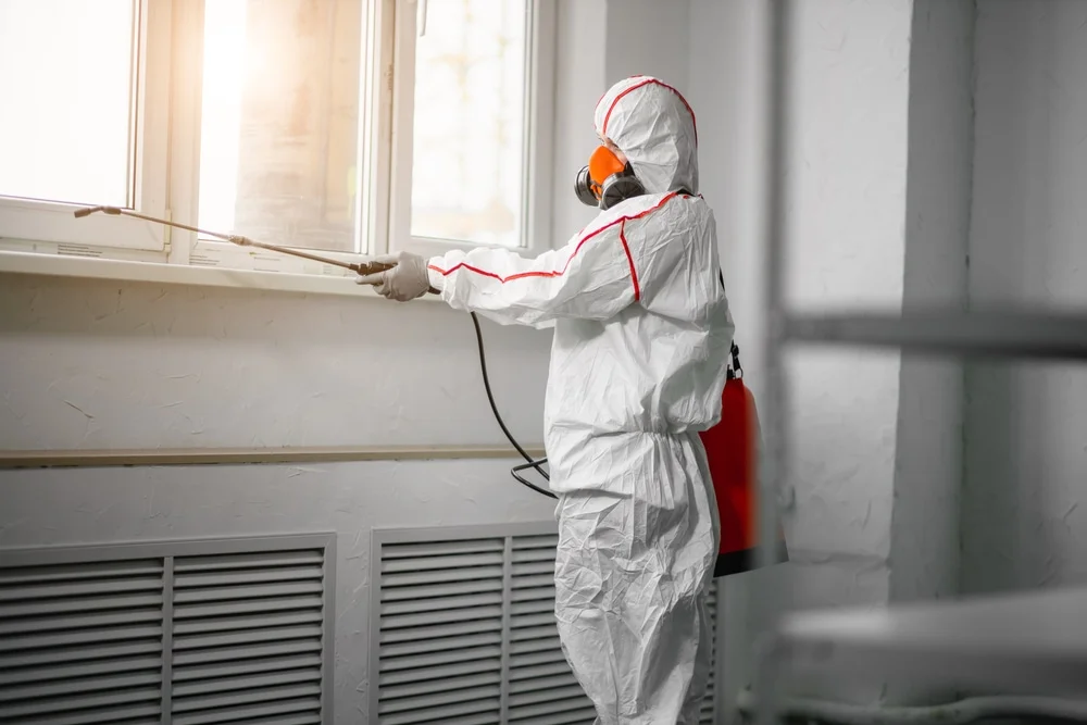 Professional mold remediation services in Pahokee, FL